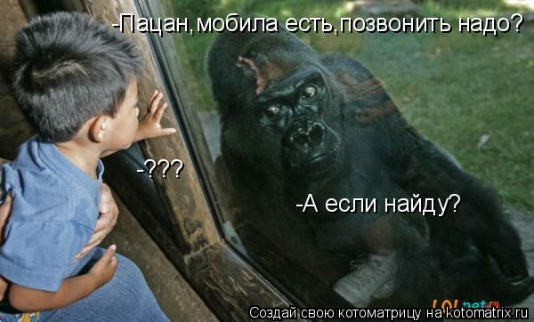 Котоматрица: -Пацан,мобила есть,позвонить надо? -??? -А если найду?