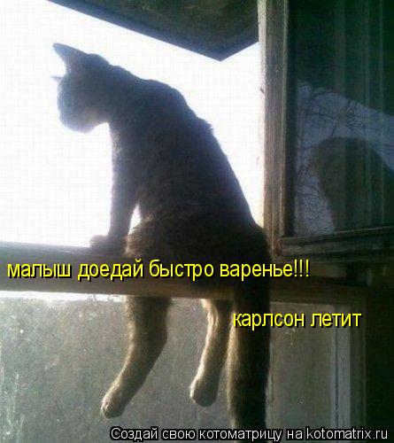 малыш доедай быстро варенье!!! карлсон летит... Котоматрица: малыш доедай быстро варенье!!! карлсон летит