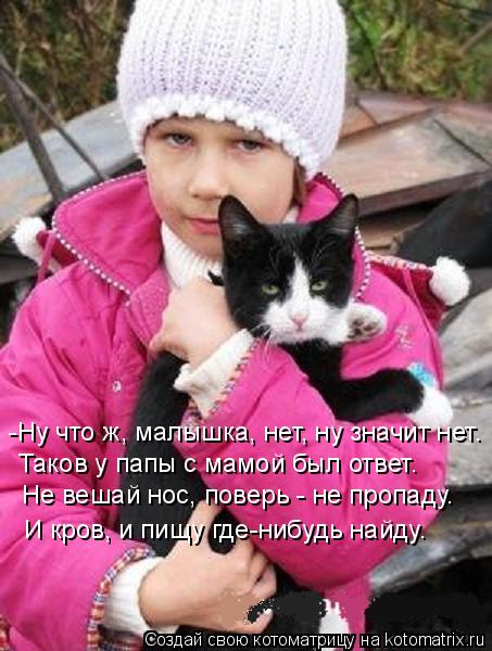 Котоматрица: -Ну что ж, малышка, нет, ну значит нет. Таков у папы с мамой был ответ. Не вешай нос, поверь - не пропаду. И кров, и пищу где-нибудь найду.