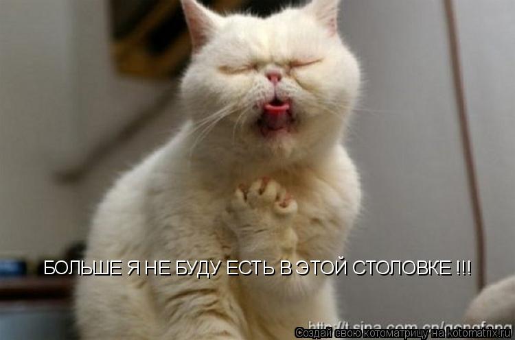 Котоматрица: БОЛЬШЕ Я НЕ БУДУ ЕСТЬ В ЭТОЙ СТОЛОВКЕ !!!