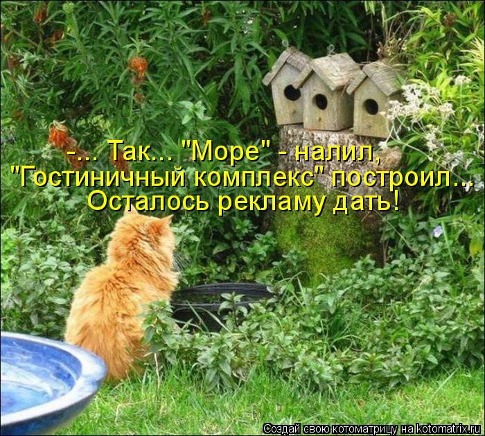 -... Так... "Море" - налил, "Гостиничный комплекс" построил... Осталось рекламу дать!... Котоматрица: -... Так... "Море" - налил, "Гостиничный комплекс" построил... Осталось рекламу дать!