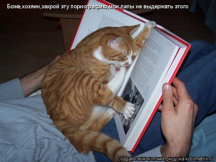 Котоматрица: Боже,хозяин,закрой эту порнографию,мои лапы не выдержать этого