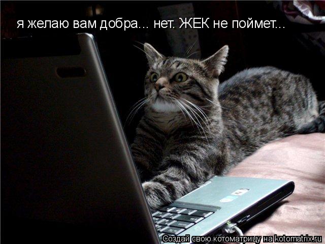 Котоматрица: я желаю вам добра... нет. ЖЕК не поймет...