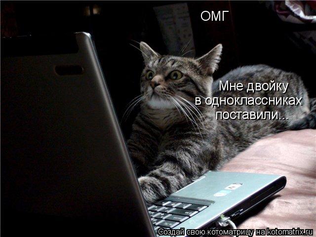 Котоматрица: ОМГ Мне двойку  в одноклассниках поставили...