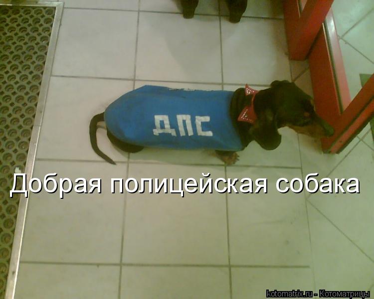 Добрая полицейская собака... Котоматрица: Добрая полицейская собака