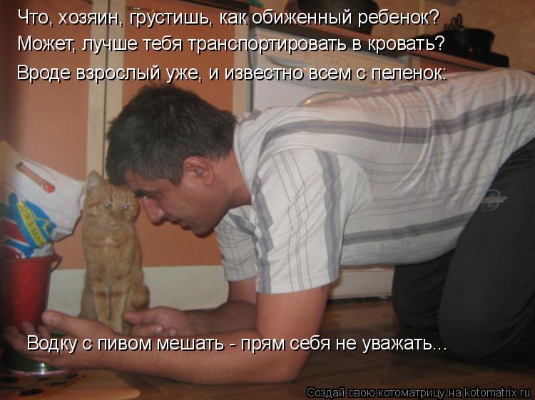 Котоматрица: Что, хозяин, грустишь, как обиженный ребенок?  Водку с пивом мешать - прям себя не уважать... Может, лучше тебя транспортировать в кровать? Вро