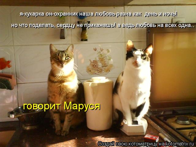 Котоматрица: я-кухарка он-охранник наша любовь разна как  день и ночь! но что поделать, сердцу не прикажешь! а ведь любовь на всех одна..  говорит Маруся