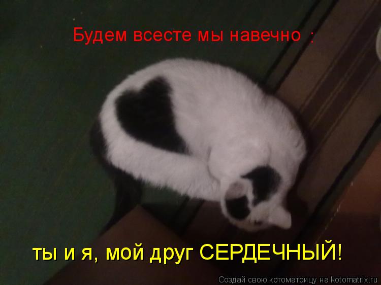 Котоматрица: Будем всесте мы навечно : ты и я, мой друг СЕРДЕЧНЫЙ!