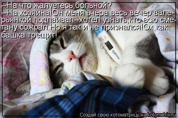 Котоматрица: --На что жалуетесь,больной? --На хозяина!Он меня вчера весь вечер вале- рьянкой подпаивал--хотел узнать,кто всю сме- тану сожрал.Но я так и не п