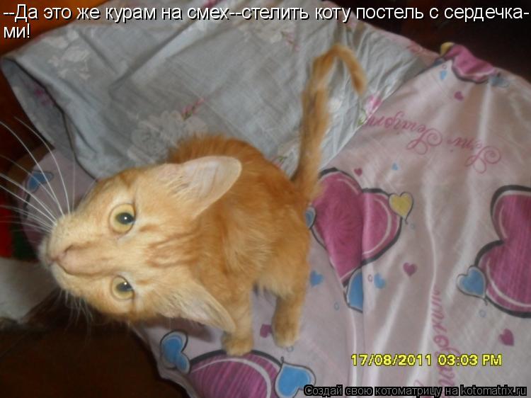 Котоматрица: --Да это же курам на смех--стелить коту постель с сердечка- ми!