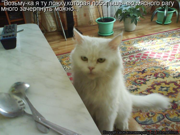 Котоматрица: "Возьму-ка я ту ложку,которая побольше--ею мясного рагу много зачерпнуть можно..."
