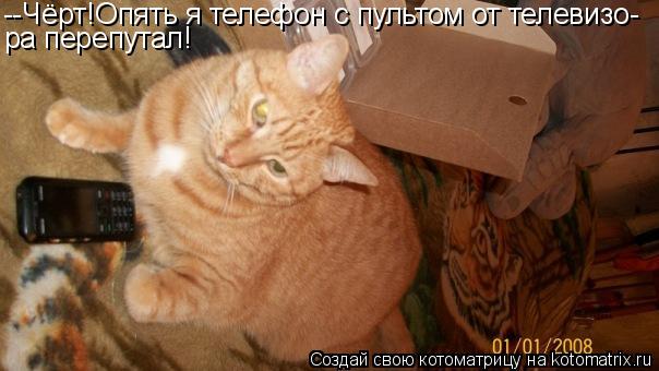 --Чёрт!Опять я телефон с пультом от телевизо- ра перепутал!... Котоматрица: --Чёрт!Опять я телефон с пультом от телевизо- ра перепутал!