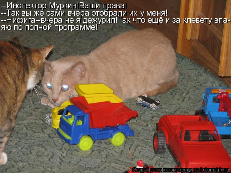 Котоматрица: --Инспектор Муркин!Ваши права! --Так вы же сами вчера отобрали их у меня! --Нифига--вчера не я дежурил!Так что ещё и за клевету впа- яю по полной 