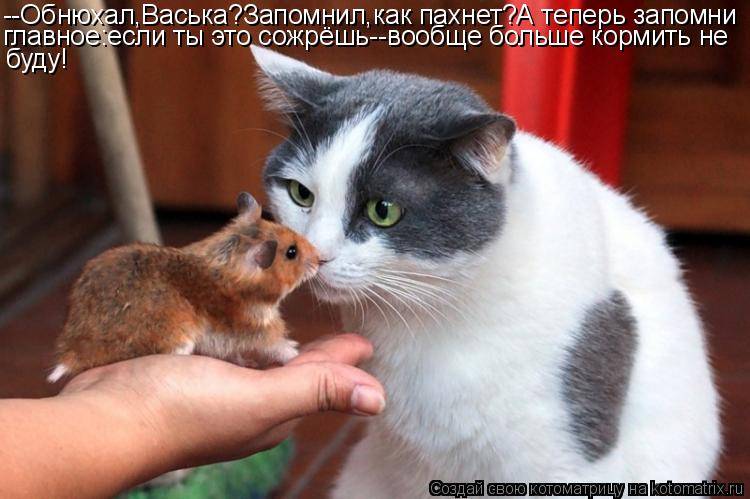 --Обнюхал,Васька?Запомнил,как пахнет?А теперь запомни главное:если ты это сожрёшь--вообще больше корм... Котоматрица: --Обнюхал,Васька?Запомнил,как пахнет?А теперь запомни главное:если ты это сожрёшь--вообще больше кормить не буду!