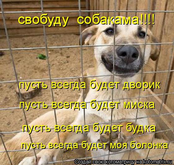 свобуду собакама!!!! пусть всегда будет дворик пусть всегда будет миска пусть всегда будет будка пу... Котоматрица: свобуду собакама!!!! пусть всегда будет дворик пусть всегда будет миска пусть всегда будет будка пусть всегда будет моя болонка