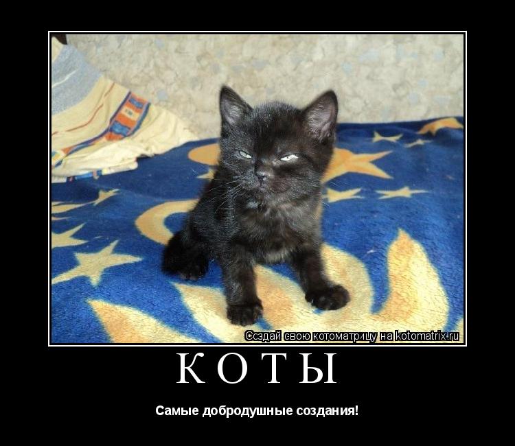 Коты Самые добродушные создания!... Котоматрица: Коты Самые добродушные создания!