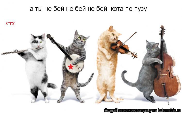 а ты не бей не бей не бей кота по пузу... Котоматрица: а ты не бей не бей не бей кота по пузу