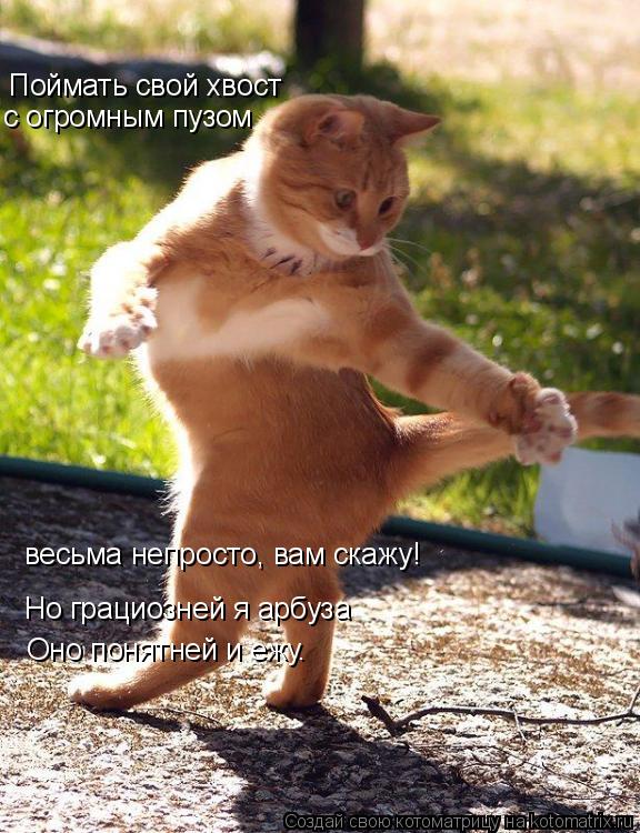 Поймать свой хвост с огромным пузом весьма непросто, вам скажу! Но грациозней я арбуза Оно понятней и... Котоматрица: Поймать свой хвост с огромным пузом весьма непросто, вам скажу! Но грациозней я арбуза Оно понятней и ежу.