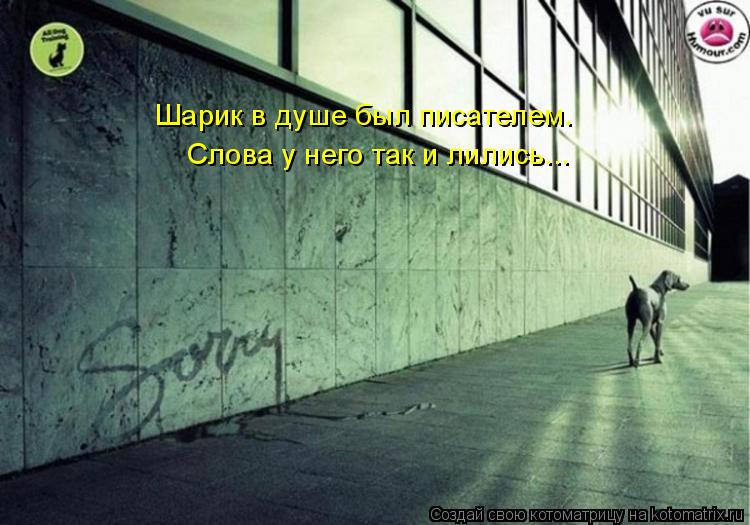 Шарик в душе был писателем. Слова у него так и лились...... Котоматрица: Шарик в душе был писателем. Слова у него так и лились...