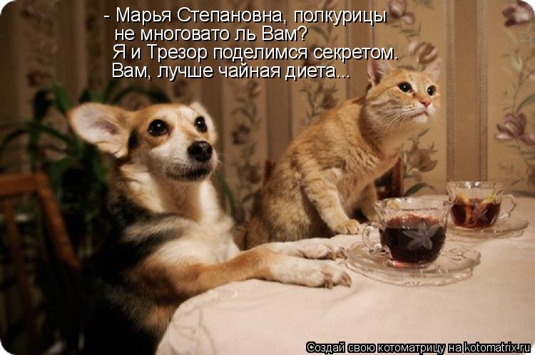- Марья Степановна, полкурицы не многовато ль Вам? Я и Трезор поделимся секретом. Вам, лучше чайная д... Котоматрица: - Марья Степановна, полкурицы не многовато ль Вам? Я и Трезор поделимся секретом. Вам, лучше чайная диета...