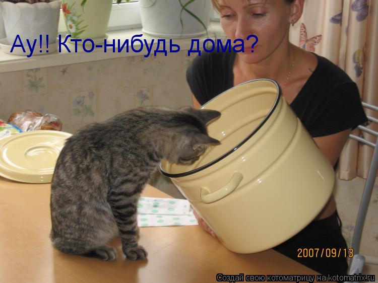 Ау!! Кто-нибудь дома?... Котоматрица: Ау!! Кто-нибудь дома?