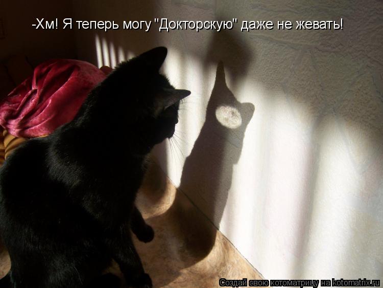 Котоматрица: -Хм! Я теперь могу "Докторскую" даже не жевать!