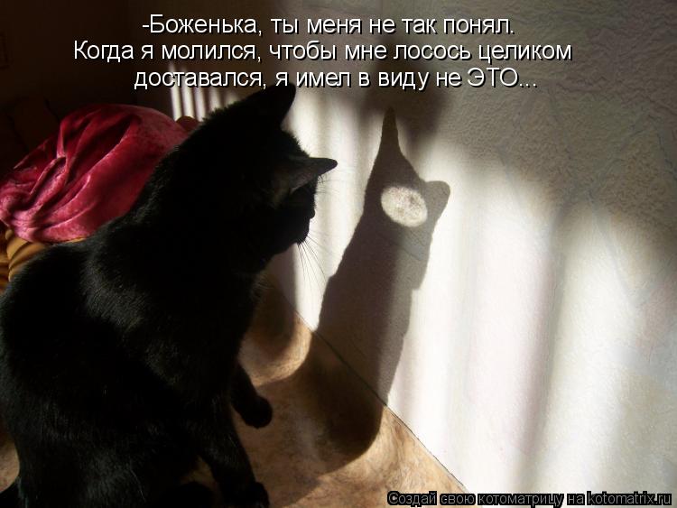 Котоматрица: -Боженька, ты меня не так понял. Когда я молился, чтобы мне лосось целиком доставался, я имел в виду не ЭТО...