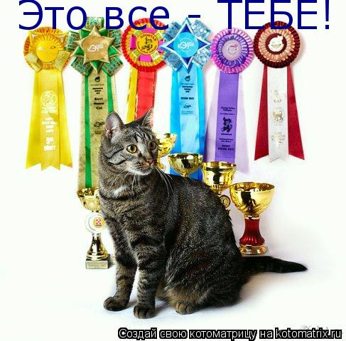 Это все - ТЕБЕ!... Котоматрица: Это все - ТЕБЕ!