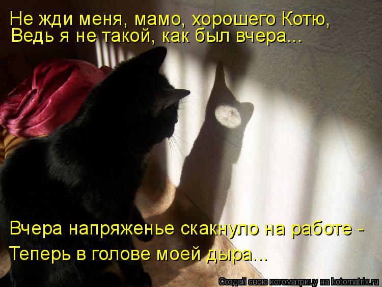 Вчера напряженье скакнуло на работе - Теперь в голове моей дыра... Не жди меня, мамо, хорошего Котю,... Котоматрица: Вчера напряженье скакнуло на работе - Теперь в голове моей дыра... Не жди меня, мамо, хорошего Котю, Ведь я не такой, как был вчера...