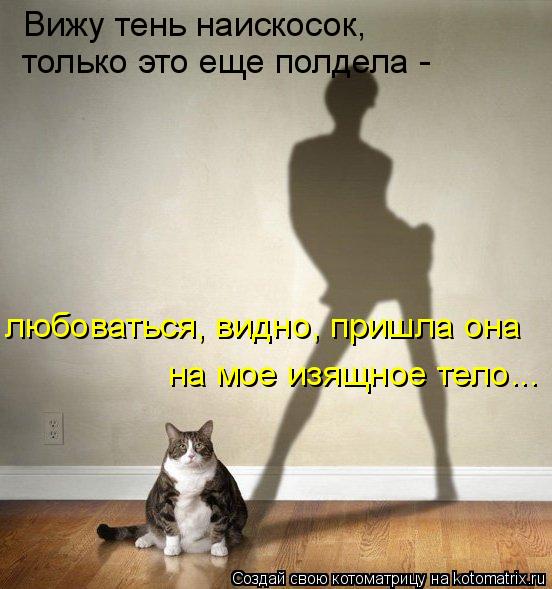 Вижу тень наискосок, только это еще полдела - любоваться, видно, пришла она на мое изящное тело...... Котоматрица: Вижу тень наискосок, только это еще полдела - любоваться, видно, пришла она на мое изящное тело...