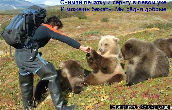Снимай печатку и серьгу в левом ухе. И можешь бежать. Мы сёдня добрые.... Котоматрица: Снимай печатку и серьгу в левом ухе. И можешь бежать. Мы сёдня добрые.