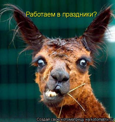 Работаем в праздники?... Котоматрица: Работаем в праздники?