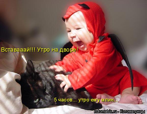 Вставааай!!! Утро на дворе! 5 часов... утро ему млин...... Котоматрица: Вставааай!!! Утро на дворе! 5 часов... утро ему млин...