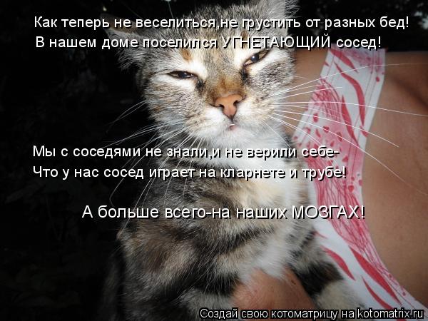 Как теперь не веселиться,не грустить от разных бед! В нашем доме поселился УГНЕТАЮЩИЙ сосед! Мы с сос... Котоматрица: Как теперь не веселиться,не грустить от разных бед! В нашем доме поселился УГНЕТАЮЩИЙ сосед! Мы с соседями не знали,и не верили себе- Что у на