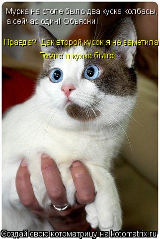 Мурка,на столе было два куска колбасы, а сейчас один! Объясни! Правда?! Дак второй кусок я не заметил... Котоматрица: Мурка,на столе было два куска колбасы, а сейчас один! Объясни! Правда?! Дак второй кусок я не заметила! Темно в кухне было!