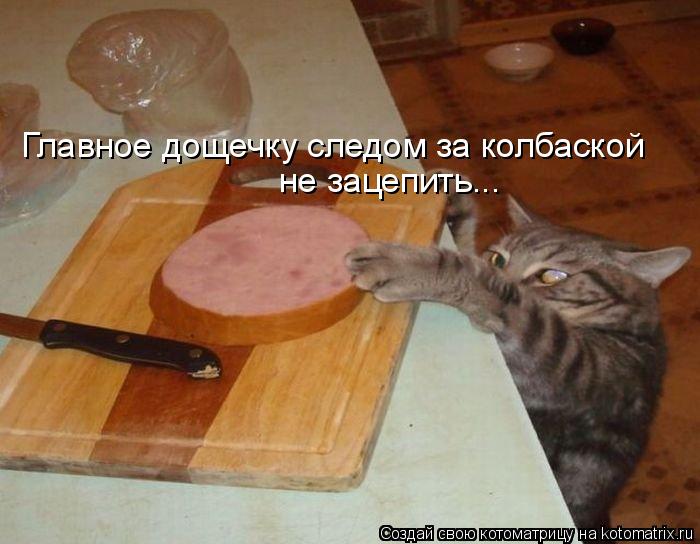 Главное дощечку следом за колбаской не зацепить...... Котоматрица: Главное дощечку следом за колбаской не зацепить...