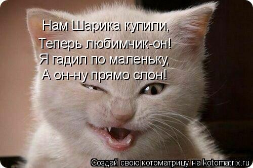 Нам Шарика купили, Теперь любимчик-он! Я гадил по маленьку, А он-ну прямо слон!... Котоматрица: Нам Шарика купили, Теперь любимчик-он! Я гадил по маленьку, А он-ну прямо слон!