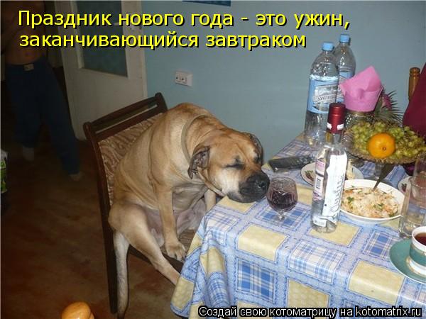 Праздник нового года - это ужин, заканчивающийся завтраком... Котоматрица: Праздник нового года - это ужин, заканчивающийся завтраком