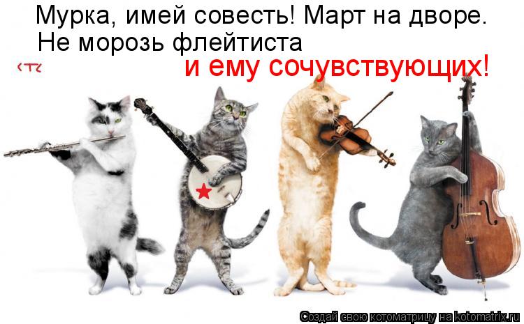 Котоматрица: Мурка, имей совесть! Март на дворе. Не морозь флейтиста  и ему сочувствующих!