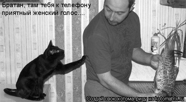 Котоматрица: Братан, там тебя к телефону приятный женский голос....