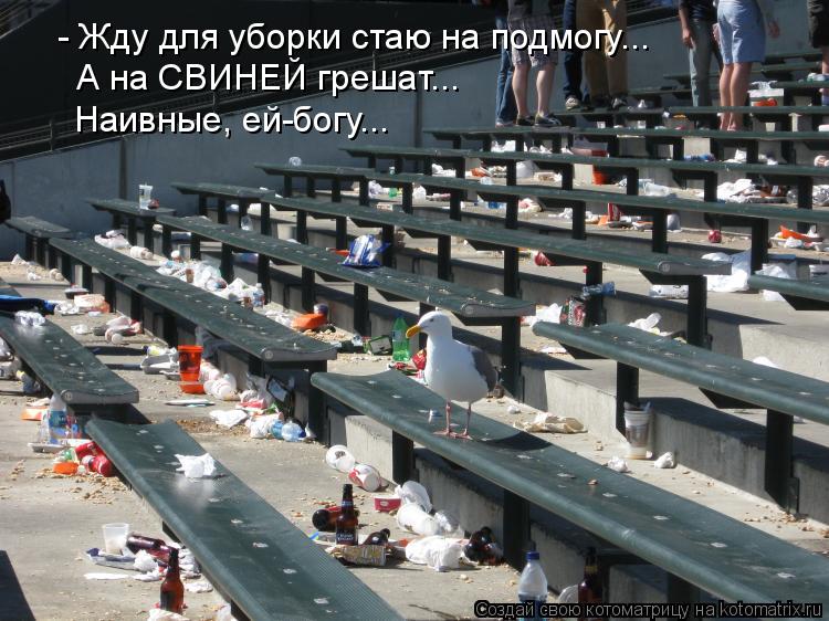 Котоматрица: - Жду для уборки стаю на подмогу... А на СВИНЕЙ грешат... Наивные, ей-богу...