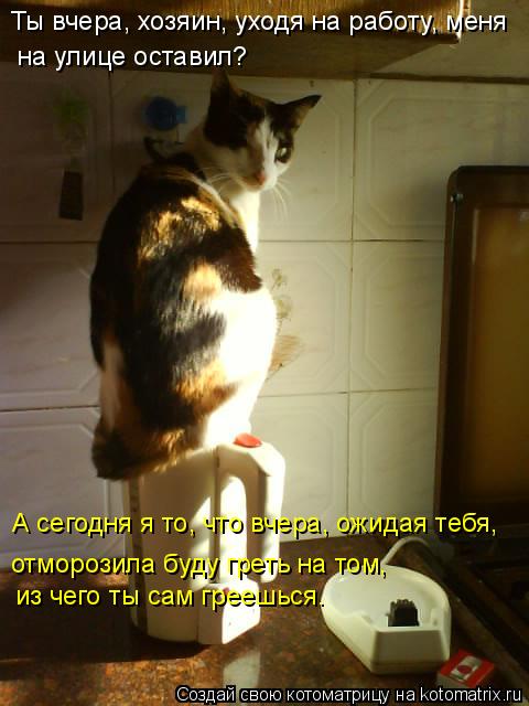 Котоматрица: Ты вчера, хозяин, уходя на работу, меня на улице оставил? А сегодня я то, что вчера, ожидая тебя,  из чего ты сам греешься. отморозила буду грет