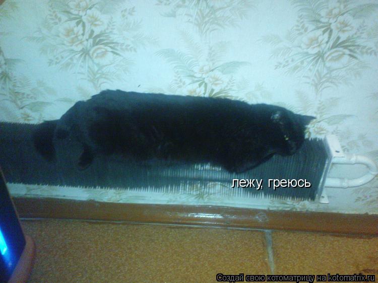 лежу, греюсь... Котоматрица: лежу, греюсь