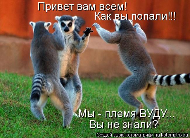 Привет вам всем! Как вы попали!!! Мы - племя ВУДУ... Вы не знали?... Котоматрица: Привет вам всем! Как вы попали!!! Мы - племя ВУДУ... Вы не знали?