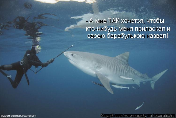 кто-нибудь меня приласкал и - А мне ТАК хочется, чтобы своею барабулькою назвал!... Котоматрица: кто-нибудь меня приласкал и - А мне ТАК хочется, чтобы своею барабулькою назвал!