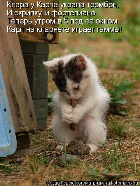Клара у Карла украла тромбон, И скрипку, и фортепиано. Теперь утром в 5 под её окном Карл на кларнете... Котоматрица: Клара у Карла украла тромбон, И скрипку, и фортепиано. Теперь утром в 5 под её окном Карл на кларнете играет гаммы!