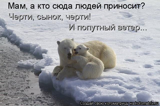 Мам, а кто сюда людей приносит? Черти, сынок, черти! И попутный ветер...... Котоматрица: Мам, а кто сюда людей приносит? Черти, сынок, черти! И попутный ветер...