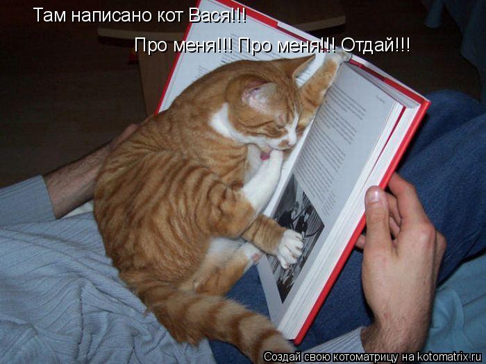 Там написано кот Вася!!! Про меня!!! Про меня!!! Отдай!!!... Котоматрица: Там написано кот Вася!!! Про меня!!! Про меня!!! Отдай!!!