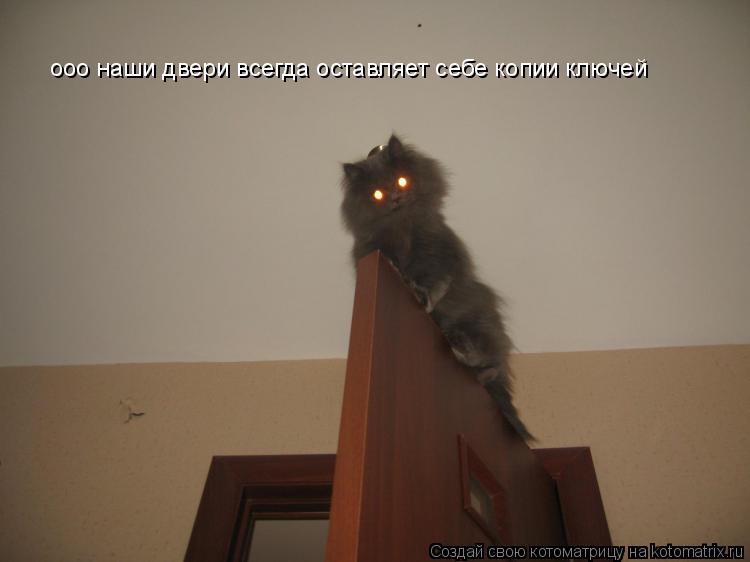 ооо наши двери всегда оставляет себе копии ключей... Котоматрица: ооо наши двери всегда оставляет себе копии ключей