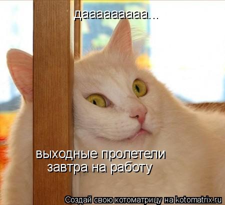 дааааааааа... выходные пролетели завтра на работу... Котоматрица: дааааааааа... выходные пролетели завтра на работу